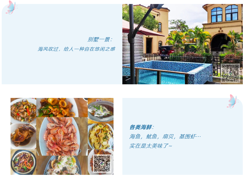 芯片烧录